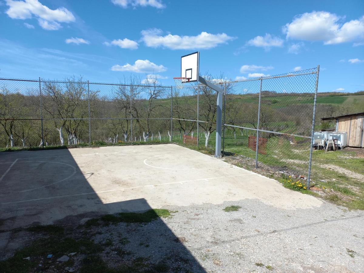 Kuca U Selu Sa Bilijar Salom Za Aktivan Odmor